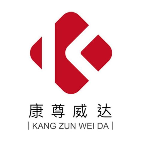 广东康尊威达网络科技 引领广东网络技术服务新浪潮